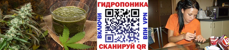 Cannafood конопля  Пугачёв 