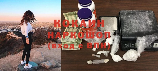 шишки Балахна