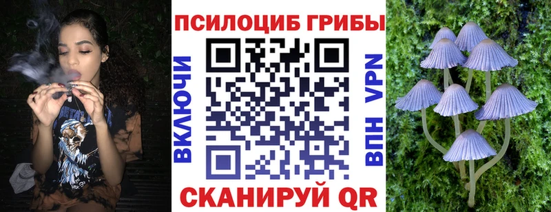Галлюциногенные грибы ЛСД Пугачёв